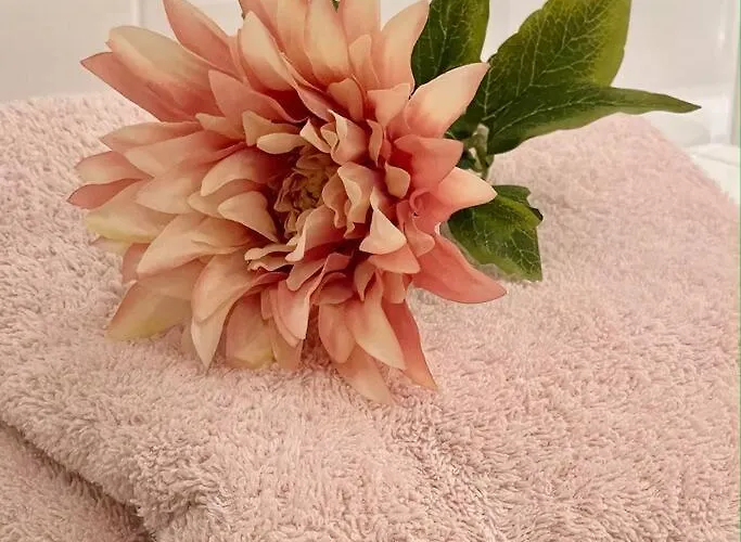 Grosse Sonnendurchflutete *