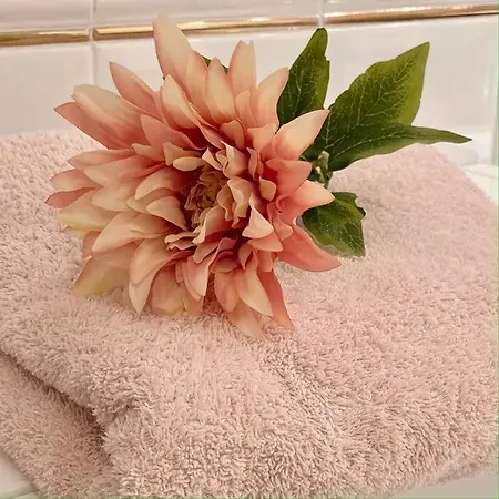 Grosse Sonnendurchflutete *